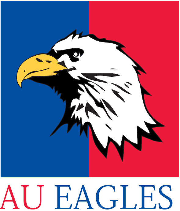 American Eagles 1985-2005 Alternate Logo diy iron on heat transfer